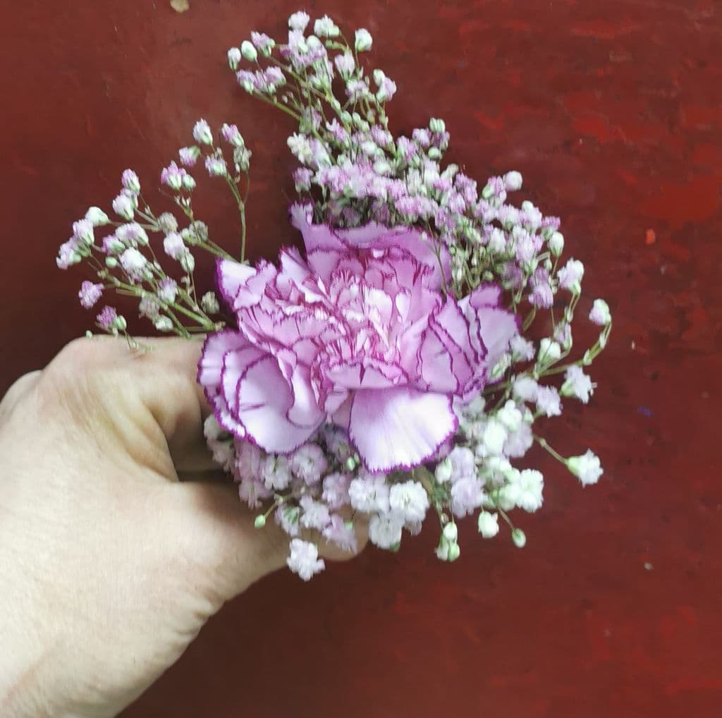Boutonnière oeillet 